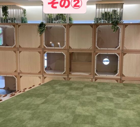 国立市内で伐採された桜の廃材を、公共施設の内装造作材として再活用しました。